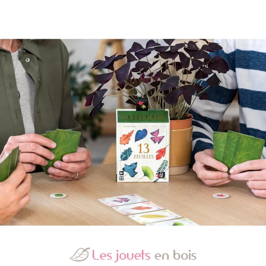 13 feuilles Jeux d'ambiance - Gigamic