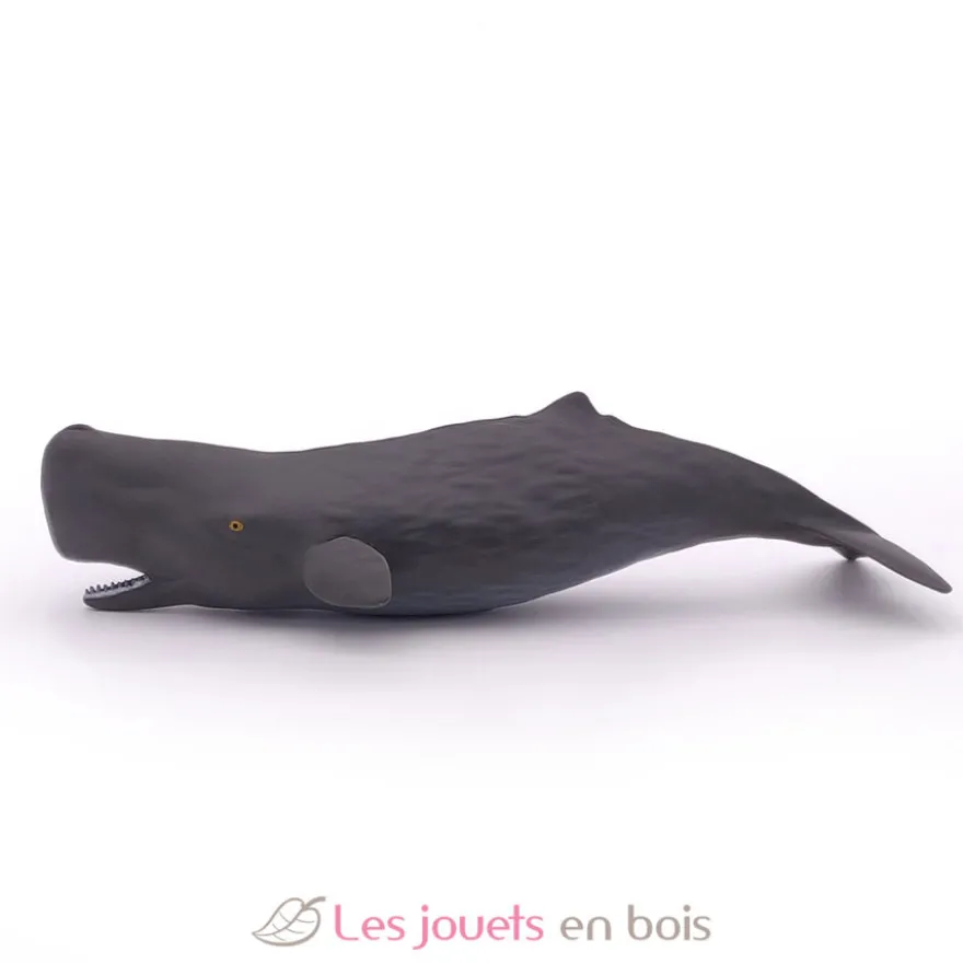 Figurine Bébé Cachalot - Papo