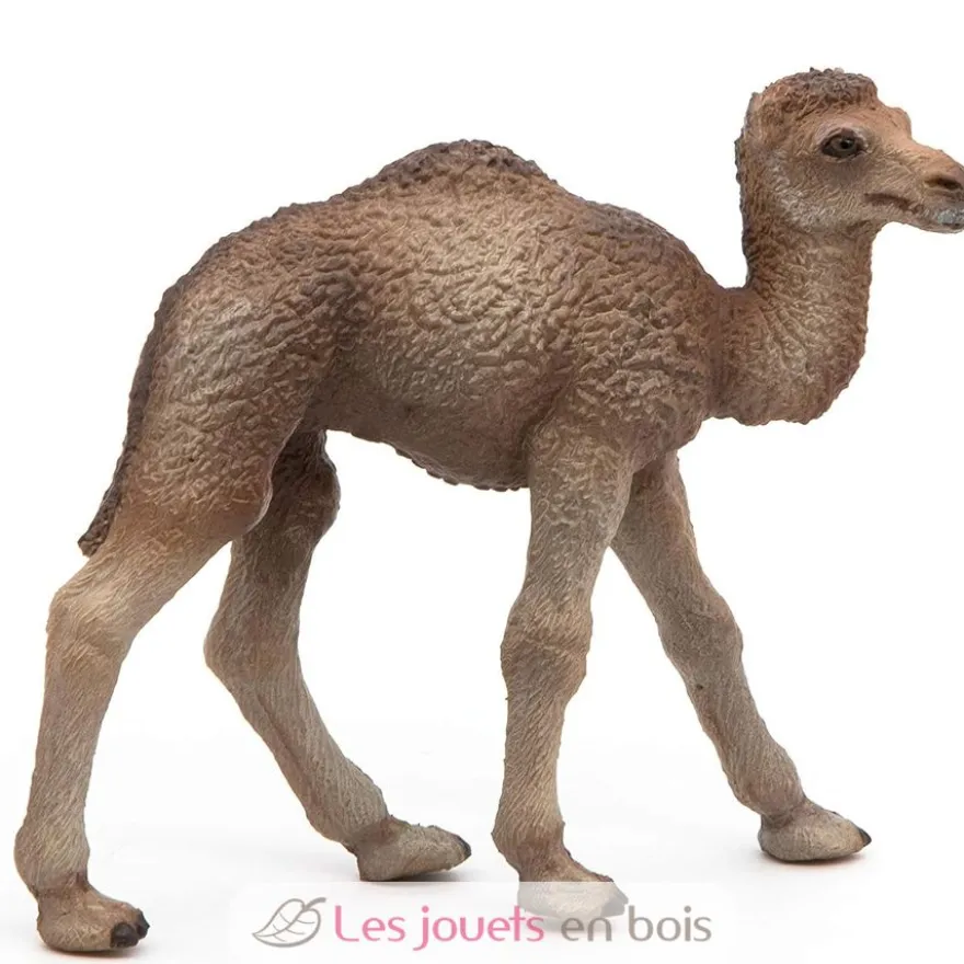 Figurine Bébé dromadaire - Papo