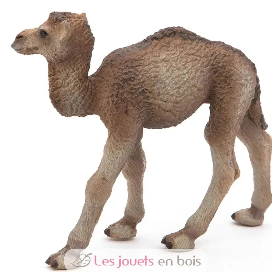 Figurine Bébé dromadaire - Papo