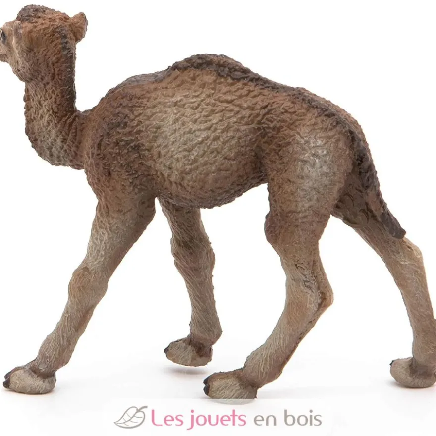 Figurine Bébé dromadaire - Papo