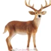 Figurine Cerf De Virginie - Schleich