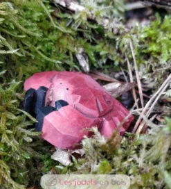 Figurine Crabe en bois rouge - Wudimals