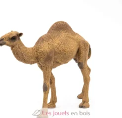 Figurine Dromadaire - Papo