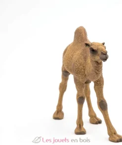 Figurine Dromadaire - Papo