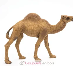 Figurine Dromadaire - Papo