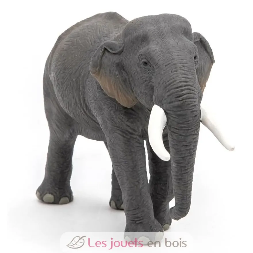 Figurine Eléphant d'Asie - Papo