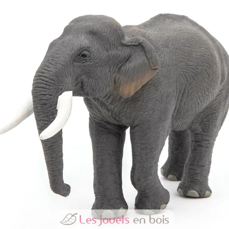 Figurine Eléphant d'Asie - Papo