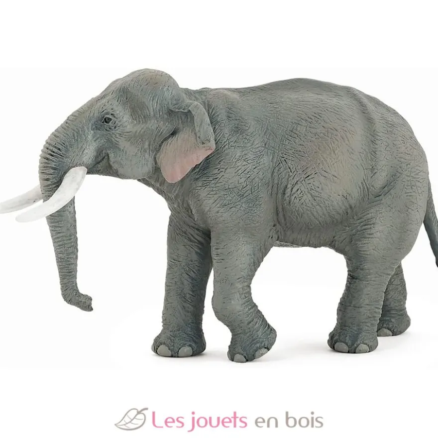 Figurine Eléphant d'Asie - Papo