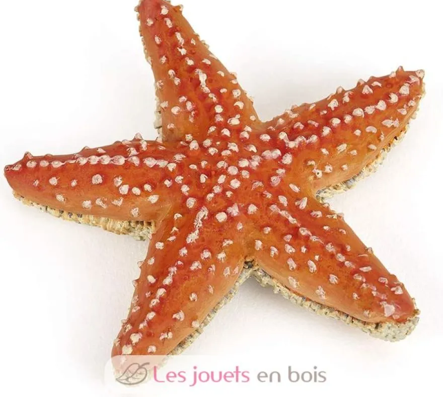 Figurine Etoile de mer - Papo