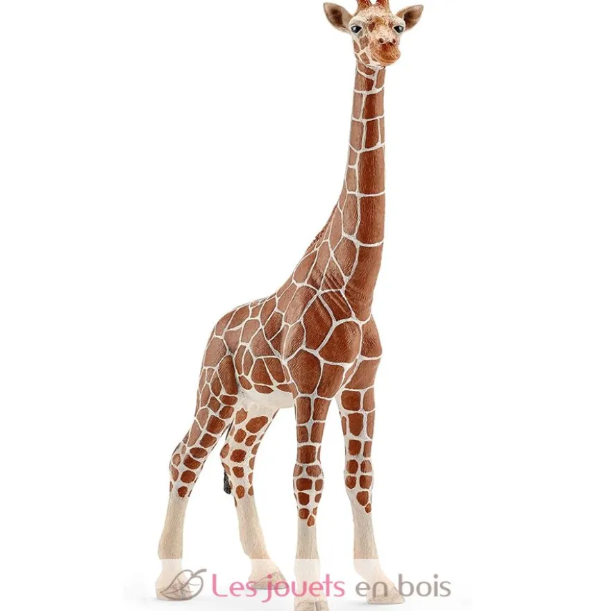 Figurine Girafe femelle marron Schleich