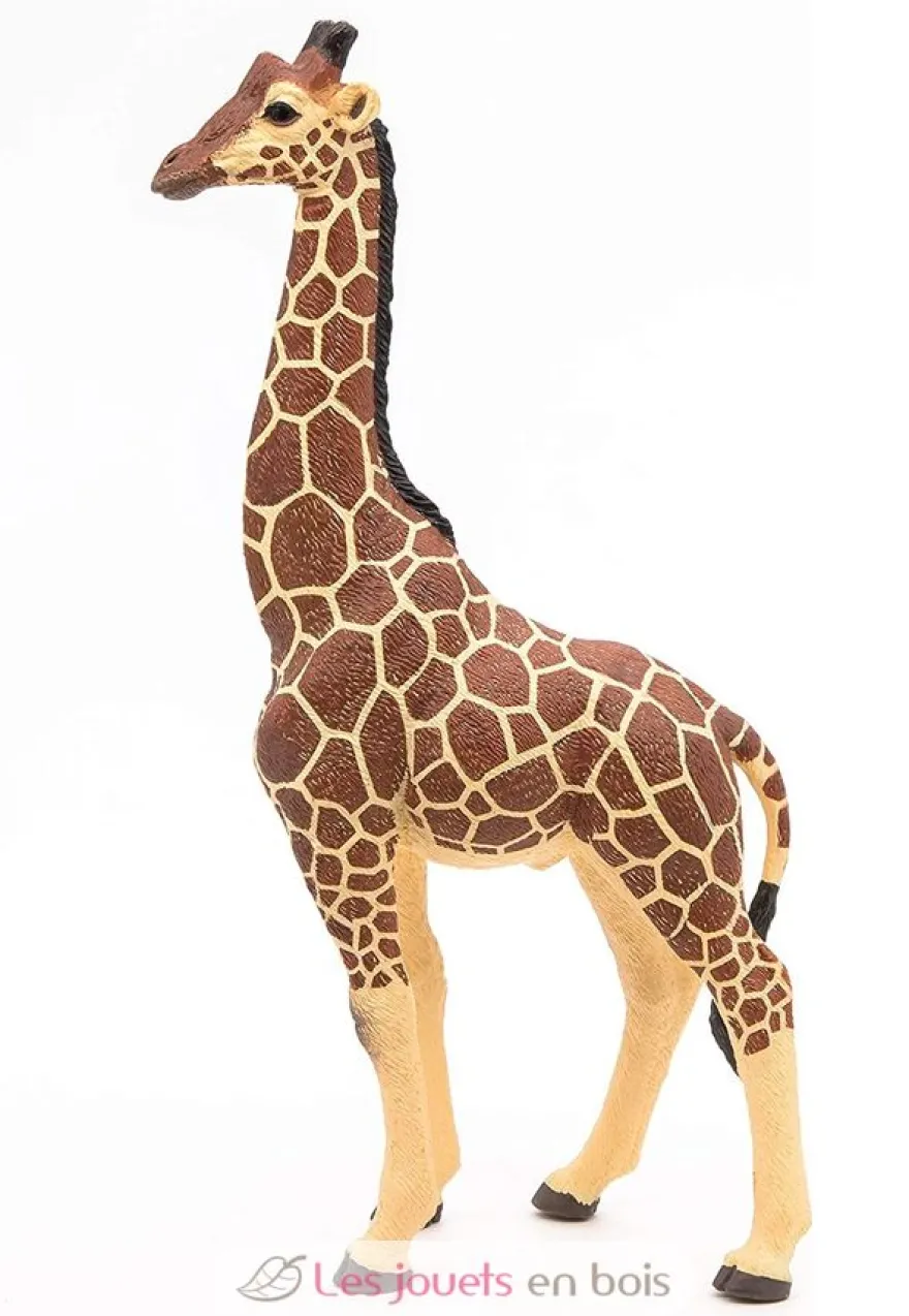 Figurine Girafe mâle - Papo