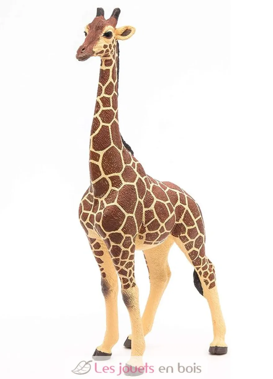Figurine Girafe mâle - Papo