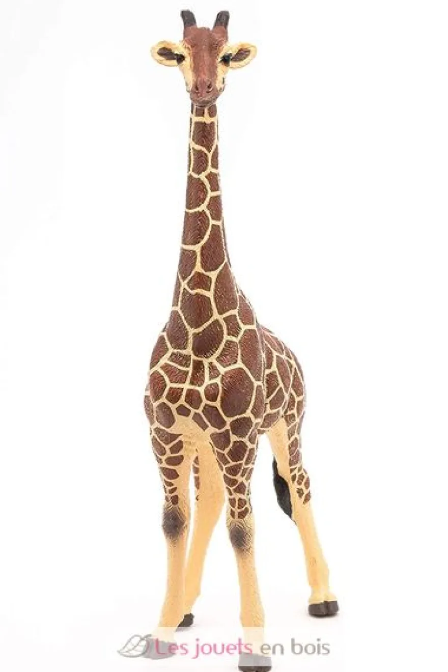 Figurine Girafe mâle - Papo