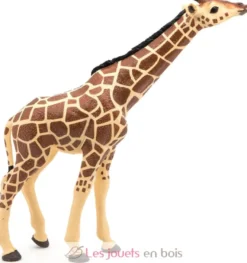 Figurine Girafe tête levée - Papo