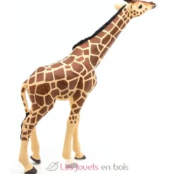 Figurine Girafe tête levée - Papo