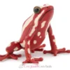 Figurine grenouille flèche tricolore rouge - Papo