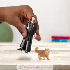 Figurine Hermione et Pattenrond - Schleich