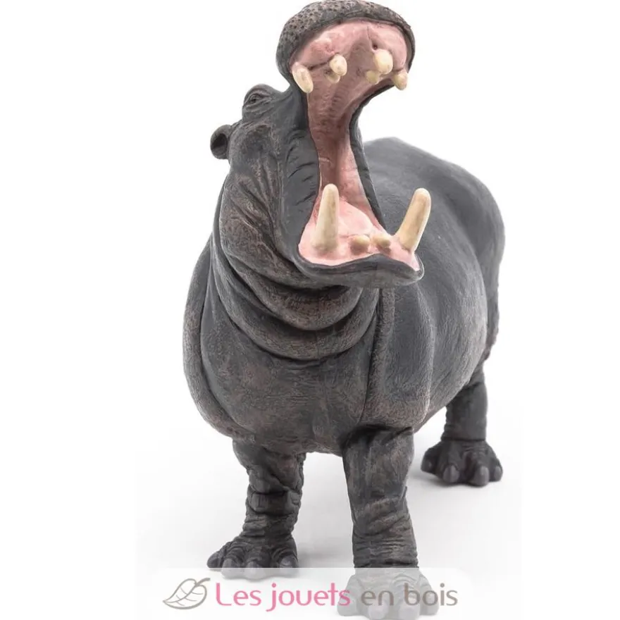 Figurine hippopotame - Papo