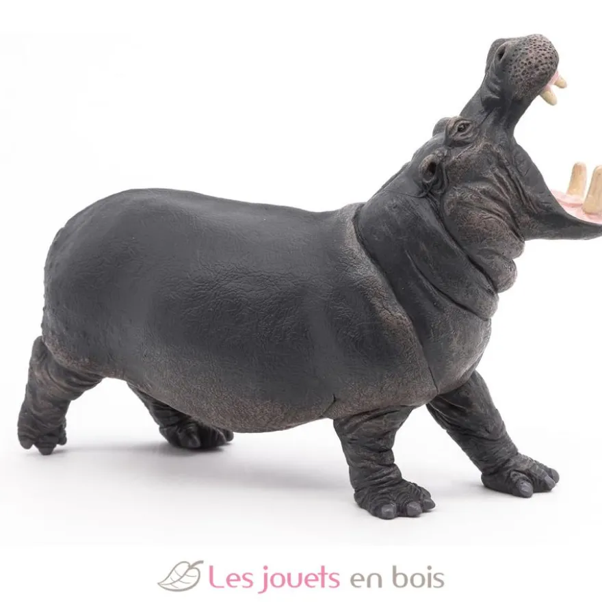 Figurine hippopotame - Papo