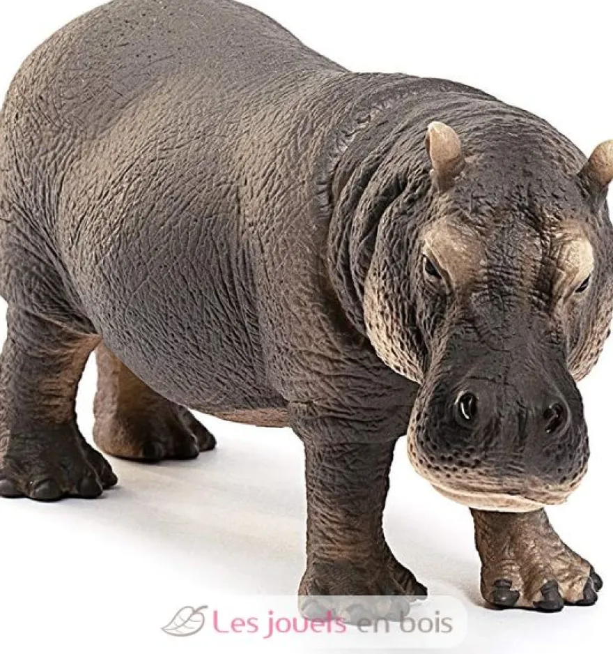Figurine Hippopotame - Schleich