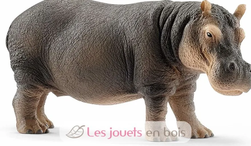 Figurine Hippopotame - Schleich