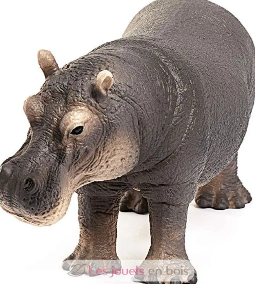 Figurine Hippopotame - Schleich