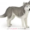 Figurine Husky de Sibérie - Papo