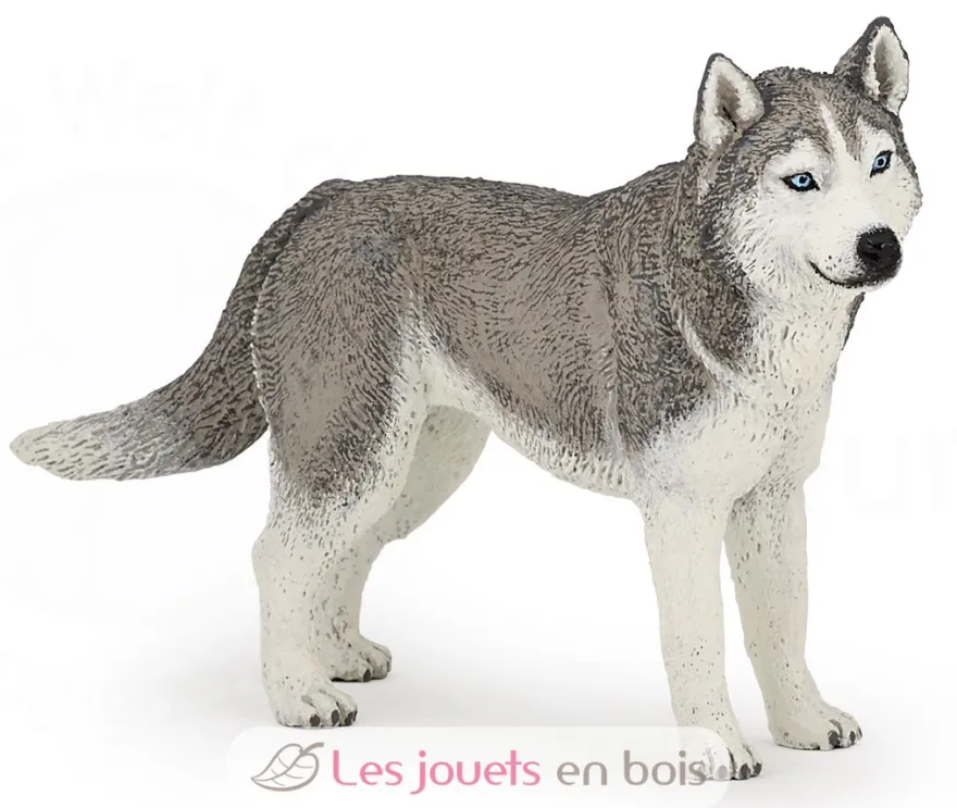 Figurine Husky de Sibérie - Papo