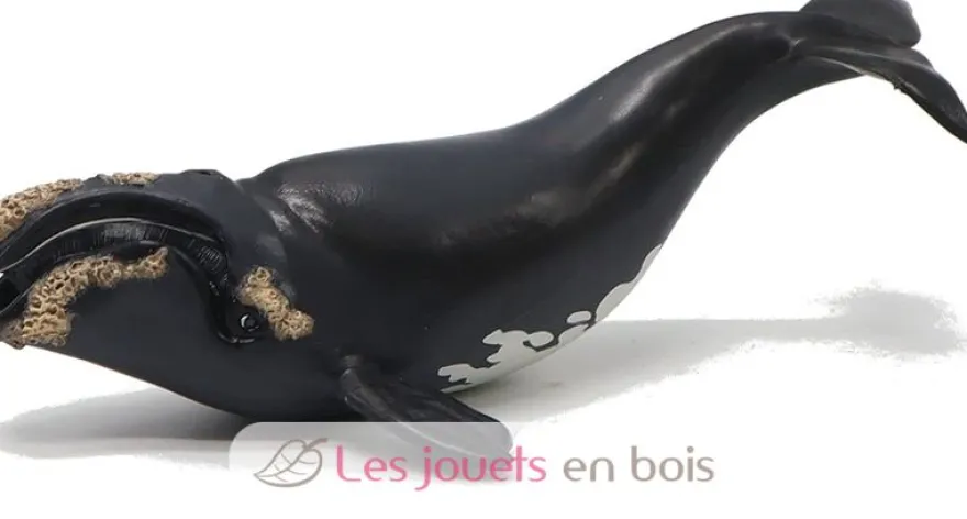 Figurine jeune baleine Franche noire Papo