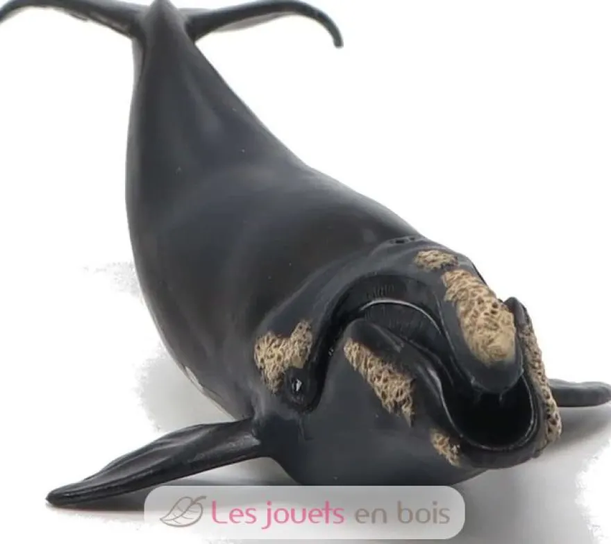 Figurine jeune baleine Franche noire Papo