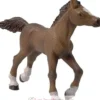 Figurine Poulain Anglo arabe - Papo