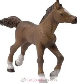 Figurine Poulain Anglo arabe - Papo