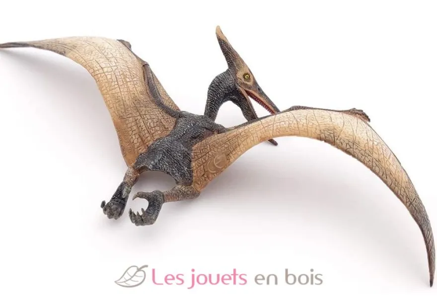 Figurine Ptéranodon marron - Papo