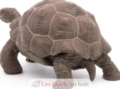 Figurine Tortue des galapagos - Papo
