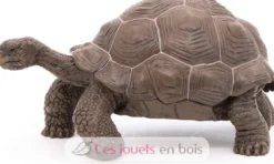 Figurine Tortue des galapagos - Papo