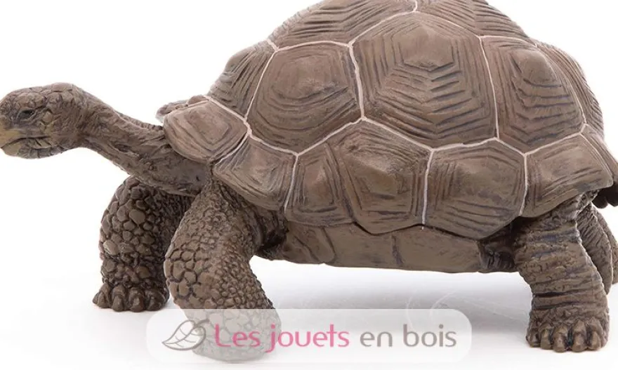 Figurine Tortue des galapagos - Papo
