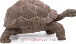 Figurine Tortue des galapagos - Papo