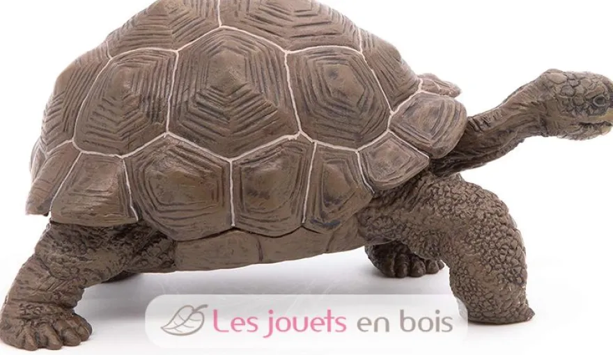 Figurine Tortue des galapagos - Papo