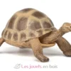 Figurine Tortue d'Hermann - Papo