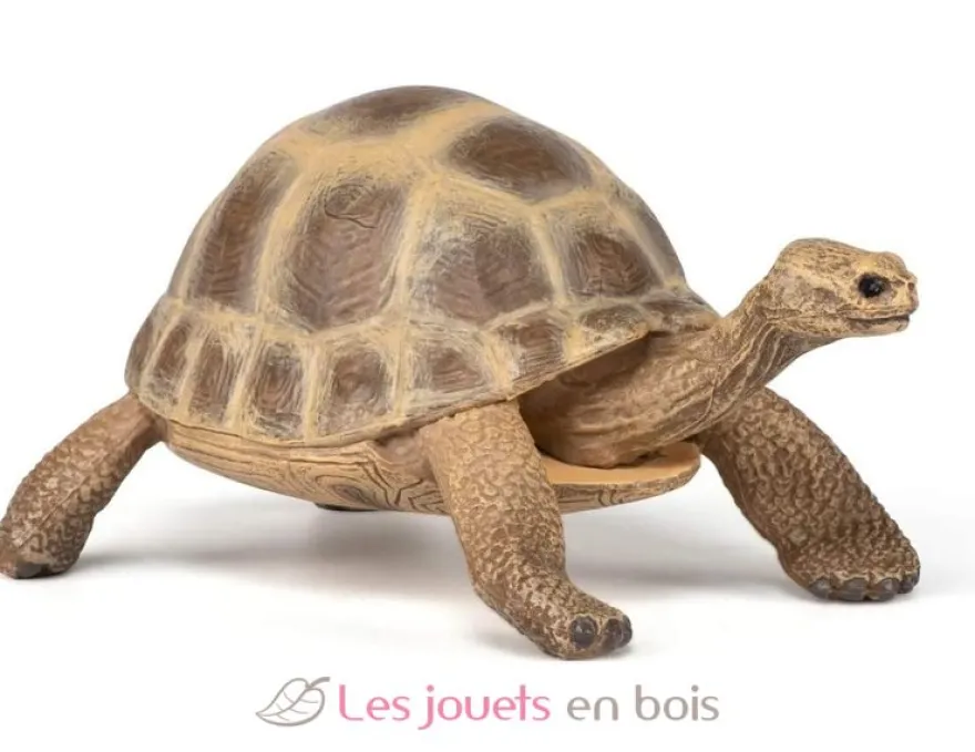 Figurine Tortue d'Hermann - Papo