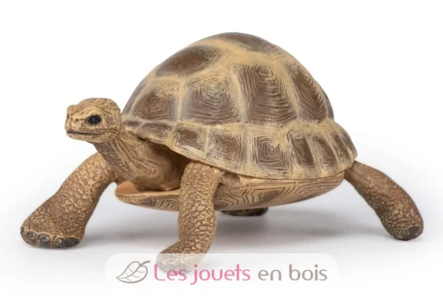 Figurine Tortue d'Hermann - Papo