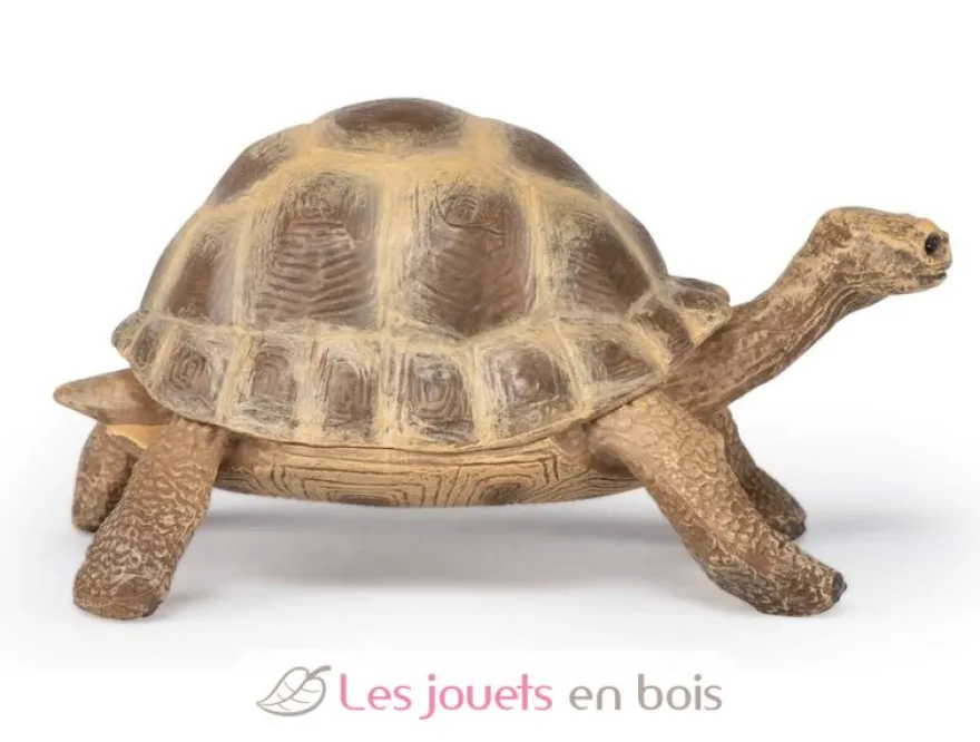 Figurine Tortue d'Hermann - Papo
