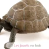 Figurine Tortue - Papo