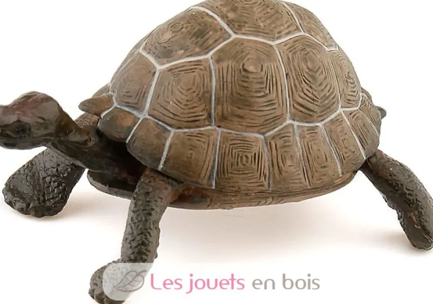 Figurine Tortue - Papo