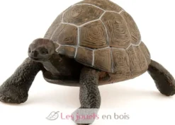 Figurine Tortue - Papo