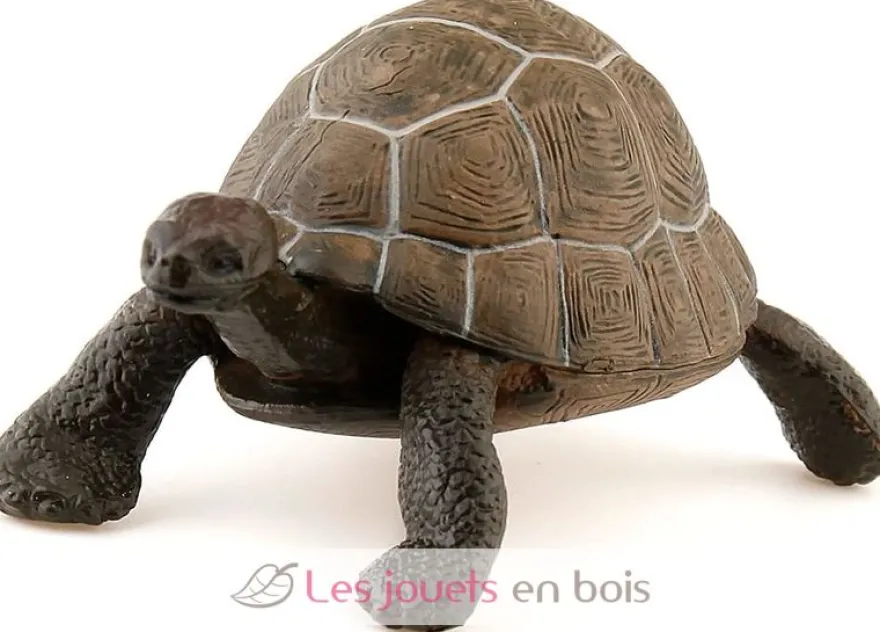 Figurine Tortue - Papo