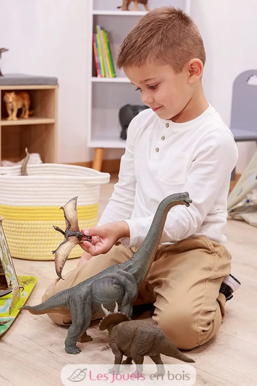 Figurine Tricératops - Papo