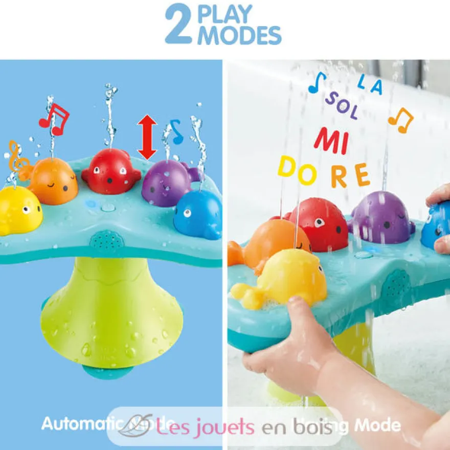 Fontaine musicale des baleines - Hape Toys