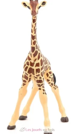 Girafon - marron - Papo